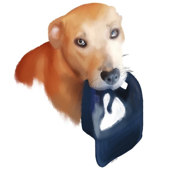 Meet your Posher, Nicole - Picture 11 of 13